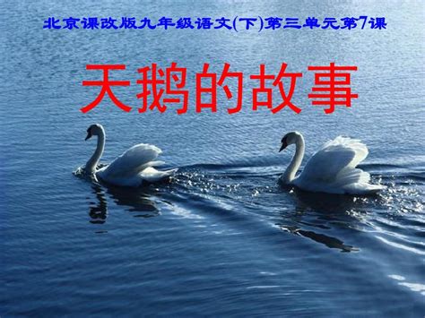 Code API 的图像结果