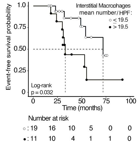 Independent Prognostic and Predictive Role of Interstitial Macrophages ...