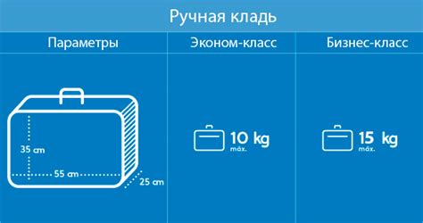 Габариты и вес ручной клади в самолете в 2022 году: размер у Ютэйр ...