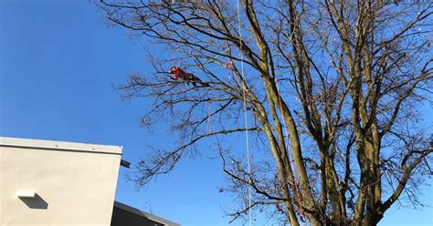 diggita - Giornalismo partecipativo dal 2007, nel fediverso con lemmy ...