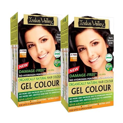 INDUS VALLEY Damage Free Natural Gel HairColor for Women|Ammonia & PPD ...