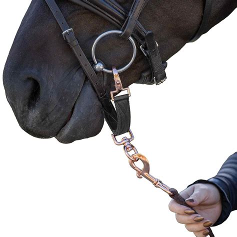 Buy ZACKY ROSE Lunging BIT Strap Nylon for Horse Lunge LINE with Swivel ...