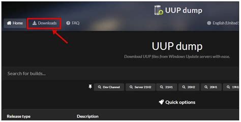 Image result for Windows 11 ISO Install