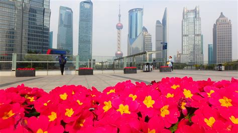 img_8285-1.jpg｜絶景in - 海外旅行記