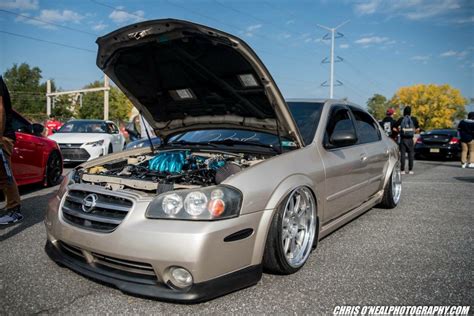 Image result for 2002 Maxima Modified