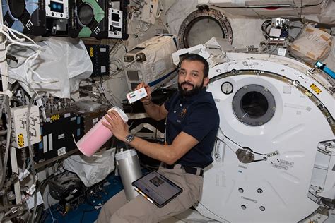 Human Flight Experiments 的图像结果