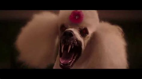 Image result for Error Loading Extension