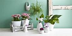 foto vasi vasi alti eleganti recipienti per i vostri fiori dalani foto vasi vasi alti eleganti recipienti per i vostri fiori dalani