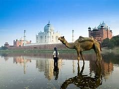 Image result for Agra Yamuna River