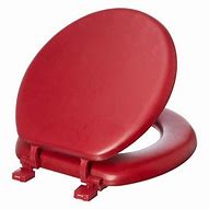Image result for Ginsey Toilet Seats