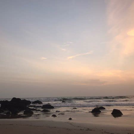 Talpona Beach (Canacona) - 2019 What to Know Before You Go (with Photos ...