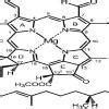 1-cyclopropyl butane structure and common name - Brainly.in