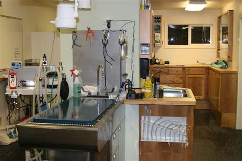 SERVICES - Mill Creek Animal Hospital