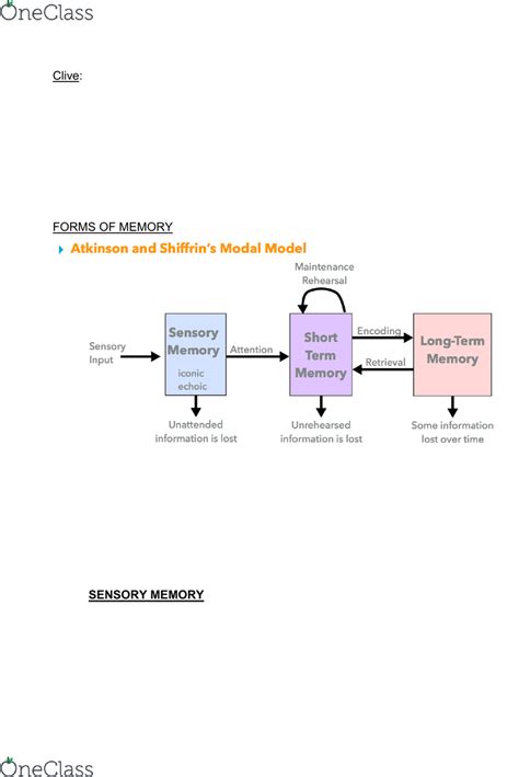 Image result for Echoic Memory Examples
