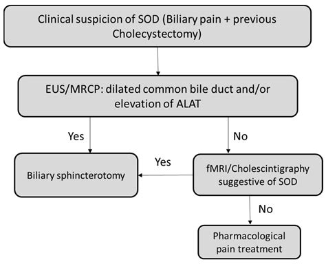 Dysfunction of Biliary Sphincter of Oddi—Clinical, Diagnostic and Treatment Challenges