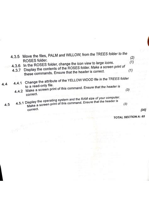 Computer Practice N5 Previous Paper 的图像结果