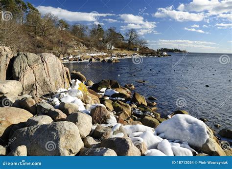 Image result for Swedish Spring