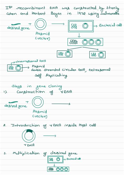 The Process Biotechnology Grade 12 的图像结果