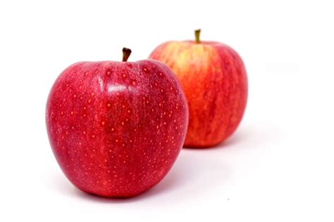 Image result for Synchronous and Asynchronous JavaScript Code Execution Comparison