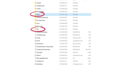 Image result for How to Check Sims 4 Files