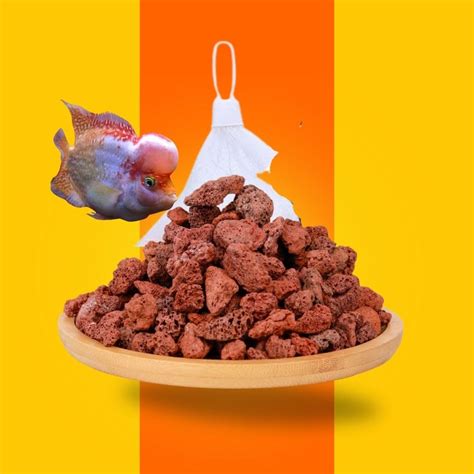 Vayinato Natural Volcanic Rock Aquarium Filter Media, 500G Fish Tank ...