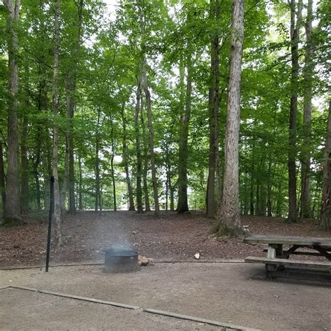 Twin Knobs Recreation Area Camping | The Dyrt