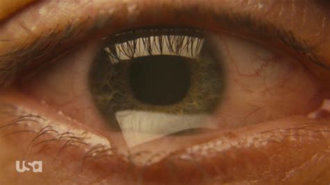 Mr. Robot Ending Explained 的图像结果