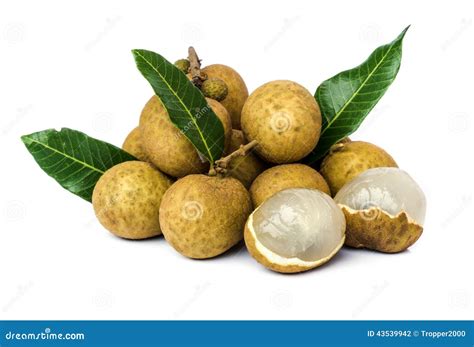 Longan fruit . stock photo. Image of longans, bunch, juicy - 43539942
