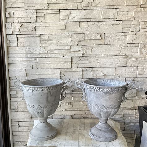 シャルムゴブレット8 選べる2色♪ | 橋本種苗園