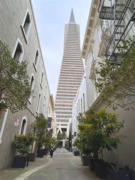 Your Guide to San Francisco's Jackson Square | San Francisco Travel