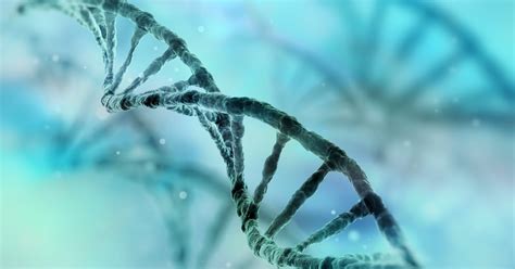 Irish ‘DNA atlas’ maps genes of the people of Ireland – The Irish Times