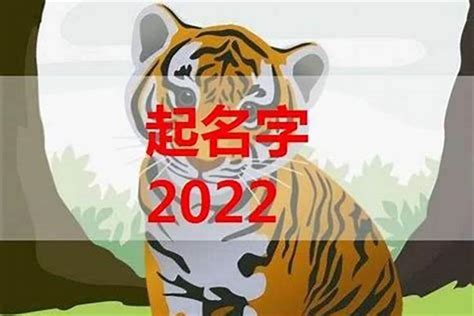 宝宝起名2022年属虎,20年属虎取名字,新潮的婴儿小名(第18页)_大山谷图库