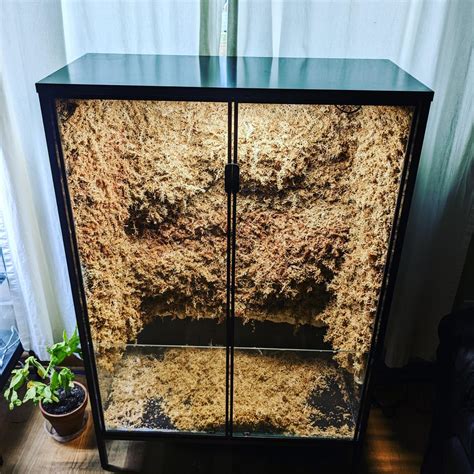 Image result for Rudsta Hack