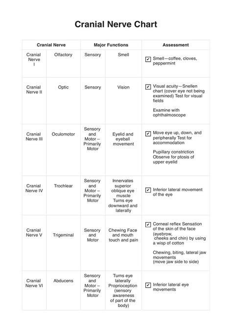 Cranial Nerve Chart & Example | Free PDF Download