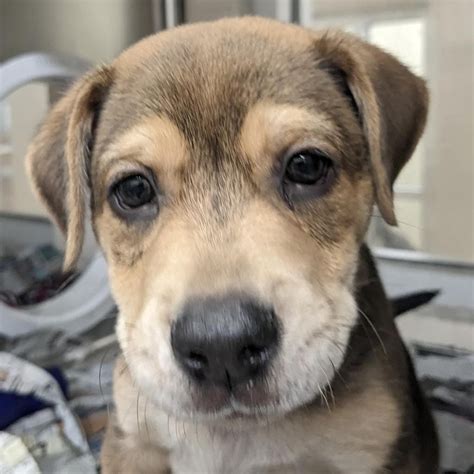 What time does summer 2024 start? When summer begins in Delaware