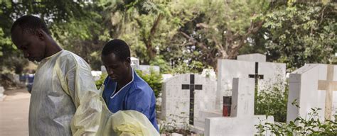 Ebola and Zika Epidemics are Driven by Pathologies of Society, Not Just ...