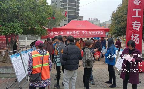 “近”享人社服务：打零工更近了！上海这里“小零工”有“大市场”_图片新闻_上海市人力资源和社会保障局