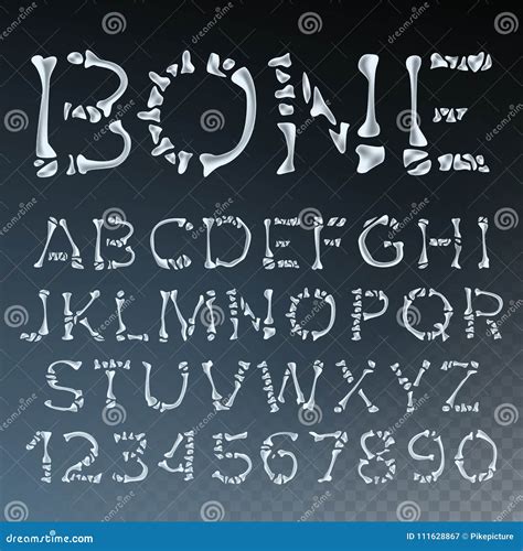 Bone Font Vector. Letters Anatomy. ABC Alphabet. Skeleton Style. Hell Scary Alphabet ...
