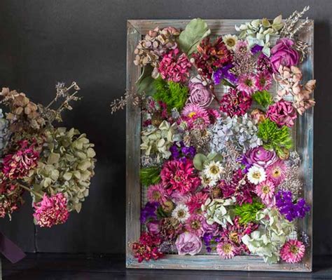 How To Use Dry Rose Petals - Different Ways To Use Dry Rose Petals ...