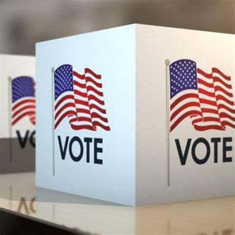 Voting 的图像结果