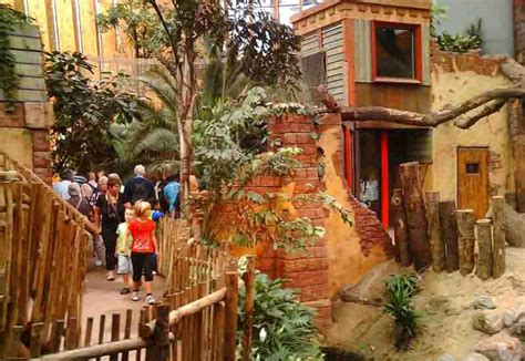 ZooLex Image - Observation hut