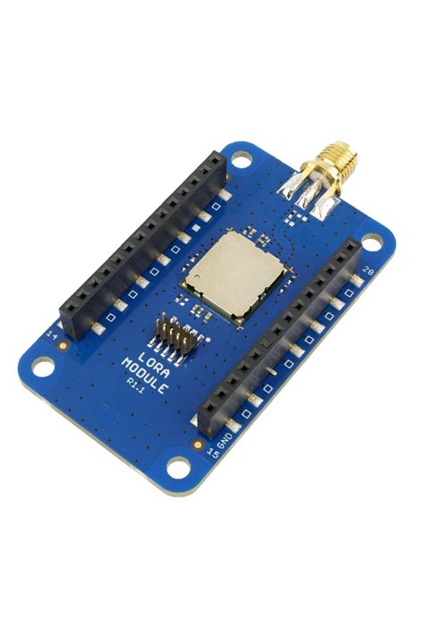 Image result for Lora Module