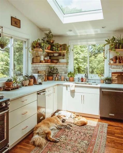 modern cottagecore kitchen