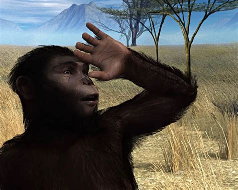 Australopithecus Documentary 的图像结果
