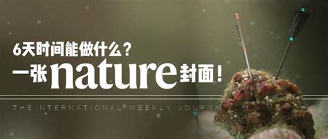 Nature杂志封面 的图像结果