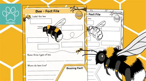 CBeebies Bees Fact File 的图像结果