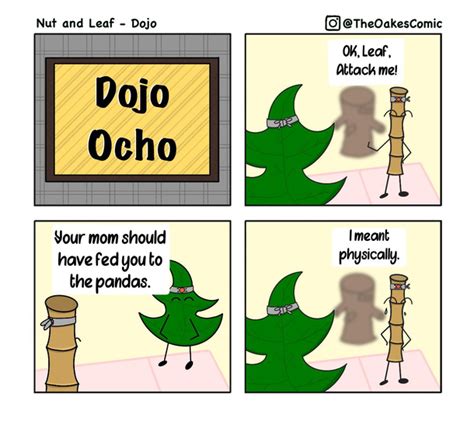 Image result for JavaScript Dojo Meme