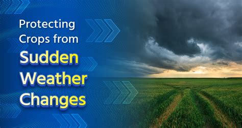 Protecting Crops from Sudden Weather Changes