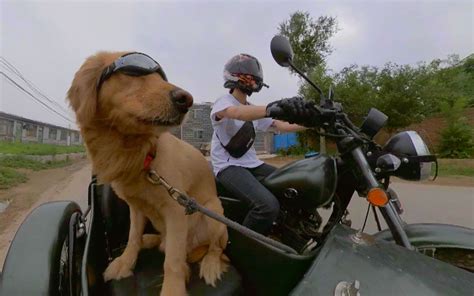 单身狗喜闻乐见的首批雅马哈MT03提车报告 - 摩托车二手网