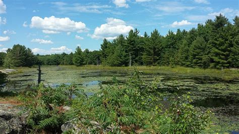 TURTLE GATE RESORT (Port Severn, Ontario) - Guesthouse Reviews & Photos ...